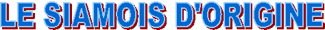 LE SIAMOIS D'ORIGINE